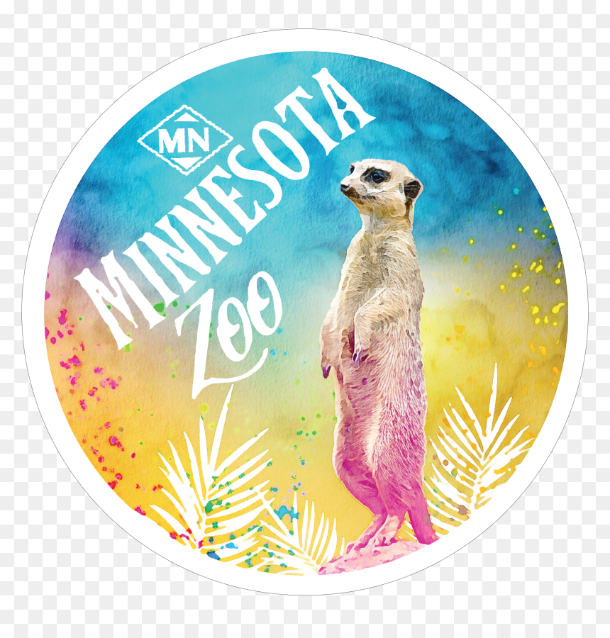 Meerkat"
 Class="lazyload Lazyload Mirage Primary"
 - Meerkat, HD Png Download - meerkat png