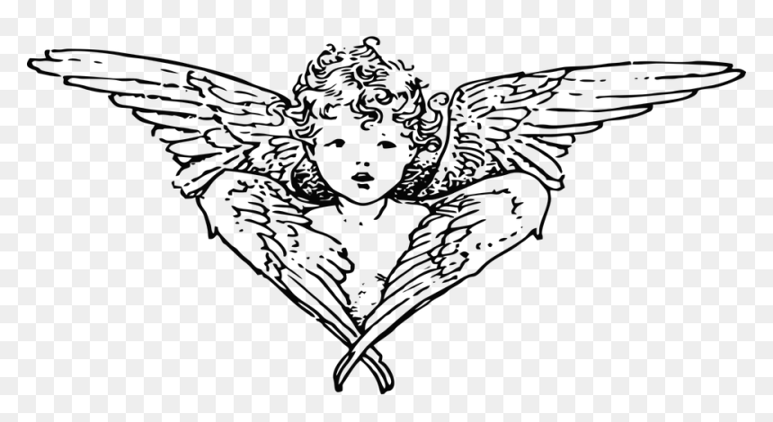 The Christmas Angel - Angel Cherub Line Art, HD Png Download - christmas angel png