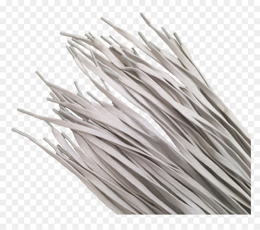White Pine, HD Png Download - shoelace png