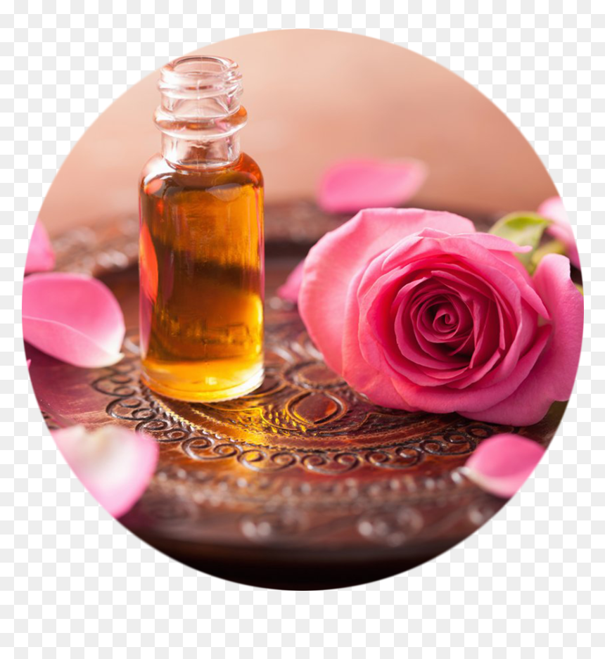 Transparent Amber Rose Png - Ruh Gulab Hd, Png Download - essential oils png