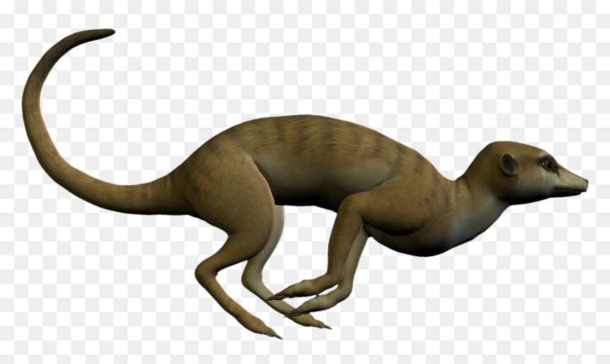 Meerkat Clipart - Clip Art, HD Png Download - meerkat png