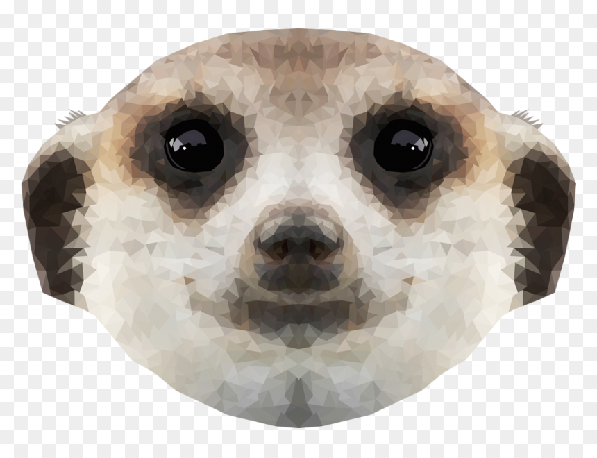 Meerkat, HD Png Download - meerkat png