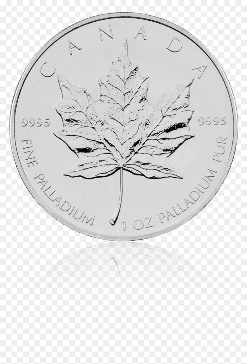 Maple Leaf, HD Png Download - canada maple leaf png