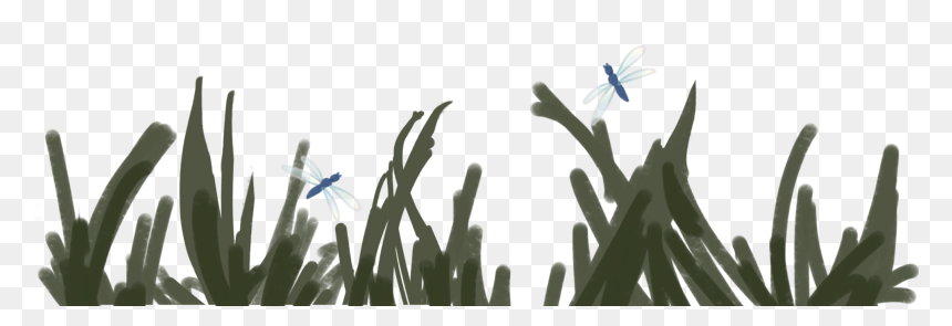 Animal Groups Roleplay Wiki - Silhouette, HD Png Download - dragonfly silhouette png