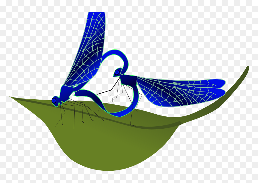 Coupling Dragonfly - Likovni Konkurs Svet Buba, HD Png Download - dragonfly silhouette png