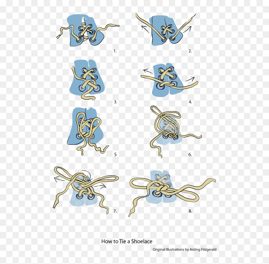 Information Leaflet Illustrating How To Tie A Shoelace - Visual Instructions For Tying Shoes, HD Png Download - shoelace png