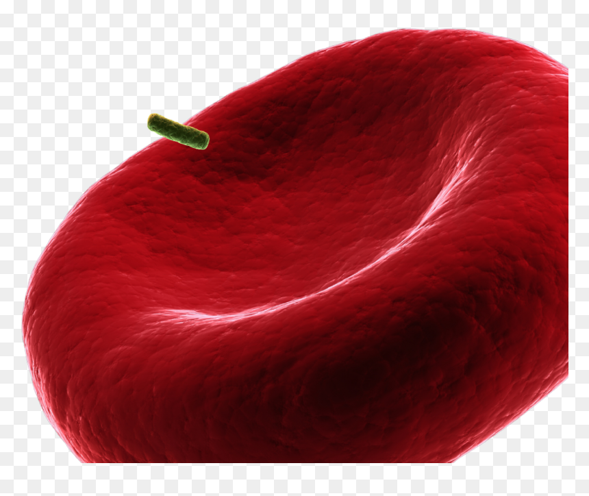 Comfort, HD Png Download - red smoke png transparent