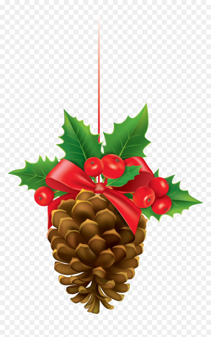 Pine Cone Cartoon Pencil - Christmas Pine Cone Clipart, HD Png Download - holly berry png