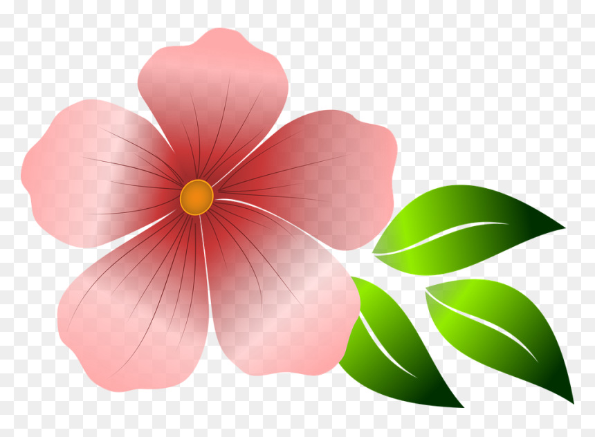 ดอกไม้ ภาพ เวก เตอร์, HD Png Download - garden flowers png