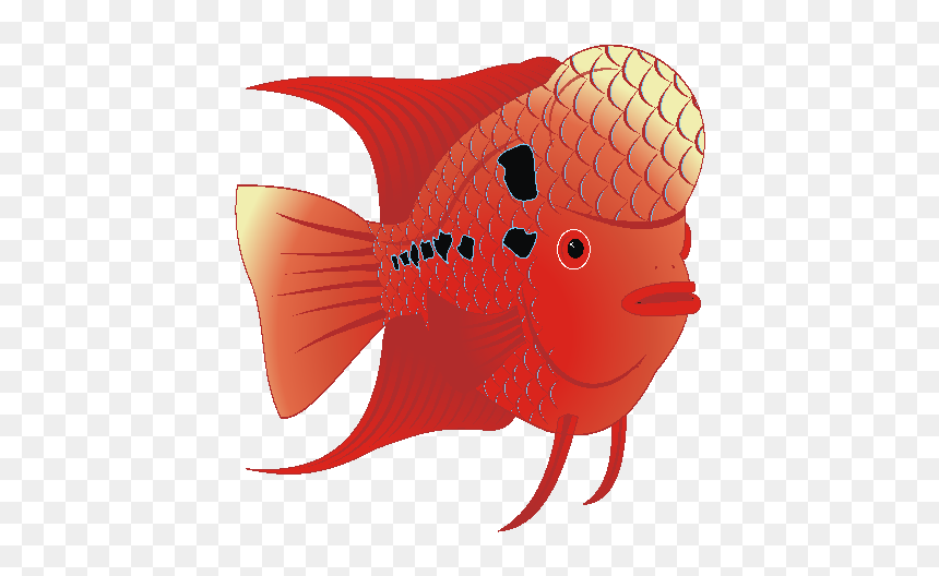 Bony-fish, HD Png Download - fish scales png