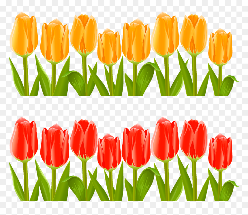 Indira Gandhi Memorial Tulip Garden Flower Clip Art - Clip Art Of Tulips, HD Png Download - garden flowers png