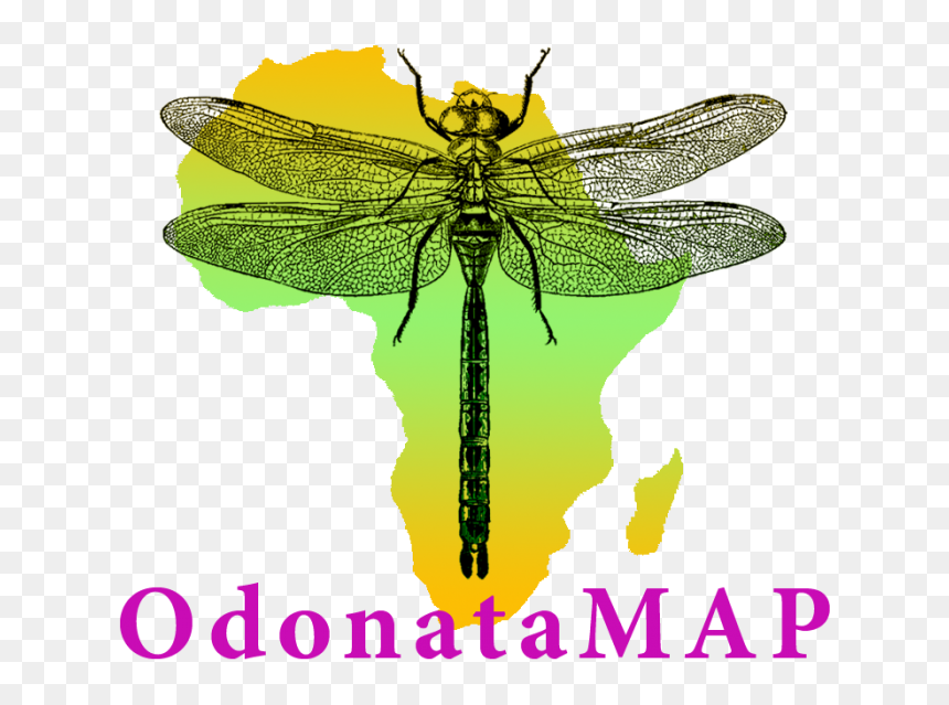 Africa, HD Png Download - dragonfly silhouette png