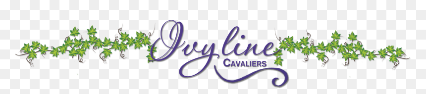Ivyline Cavaliers - Calligraphy, HD Png Download - cavaliers png