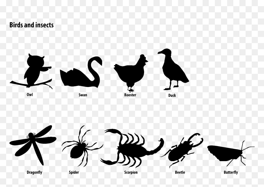 Cartoon, HD Png Download - dragonfly silhouette png
