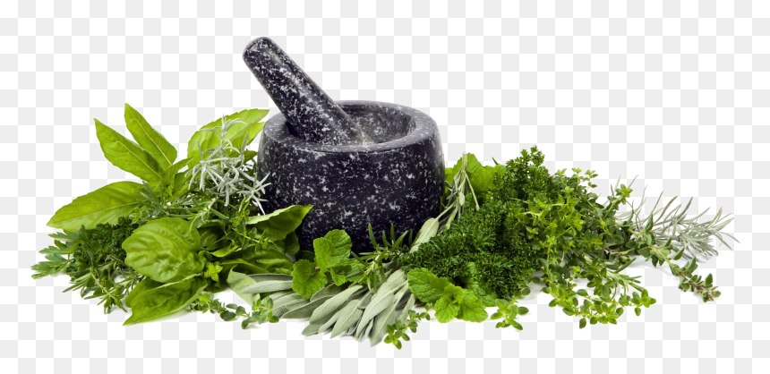 Mortar Transparent Background - Mortar Pestle Herbs Png, Png Download - mortar and pestle png