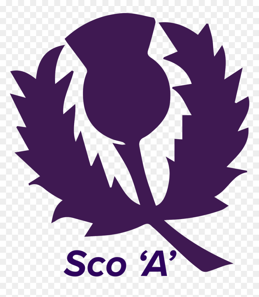 Thumb Image - Scotland Cricket Team Logo, HD Png Download - cricket logo png