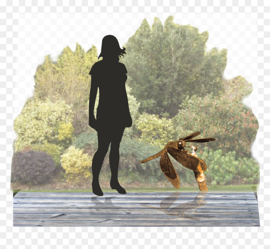 Dragonfly - Dog, HD Png Download - dragonfly silhouette png