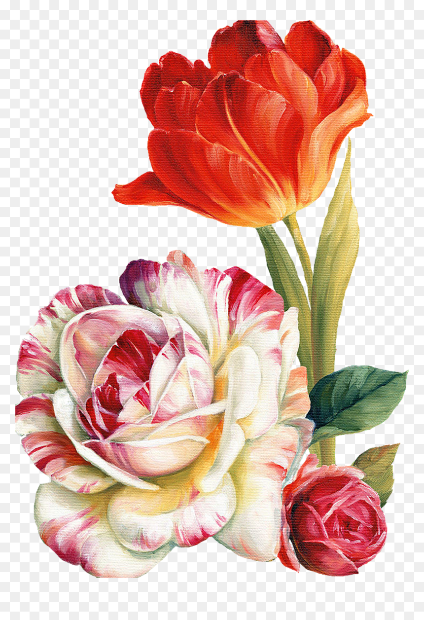 Png Lis Audit - Transparent Flower Painting Png, Png Download - garden flowers png