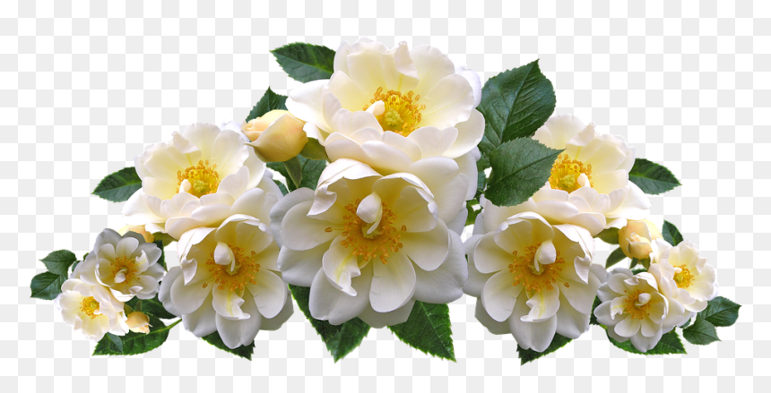 Roses, White, Flowers, Arrangement, Garden, Nature, HD Png Download - garden flowers png