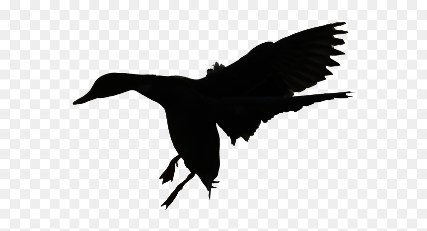 Duck Hunting Clip Art Orange, HD Png Download - duck silhouette png