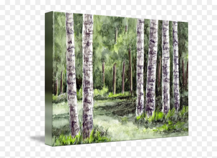 Transparent Watercolor Trees Png - Watercolor Birchtrees, Png Download - watercolor trees png