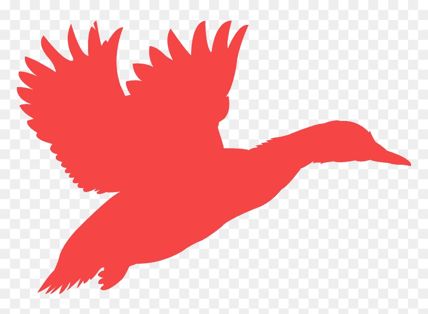 Silhouette Of A Flying Mallard, HD Png Download - duck silhouette png