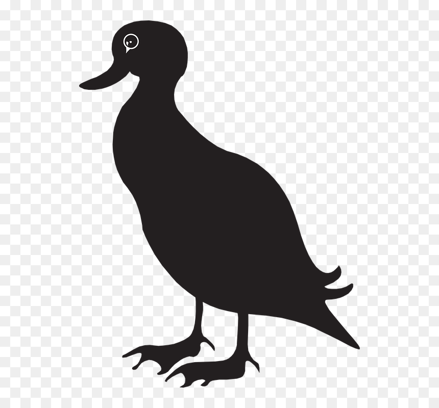 Transparent Duck Clipart Black And White - Clipart Black Duck, HD Png Download - duck silhouette png
