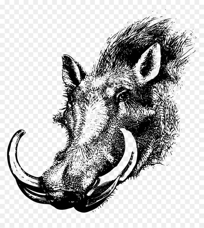 Warthog Head Clipart, HD Png Download - pig nose png
