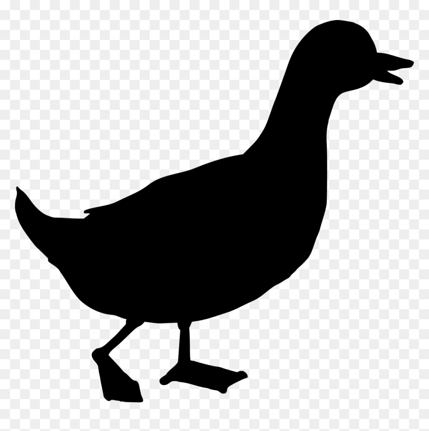 Duck, HD Png Download - duck silhouette png