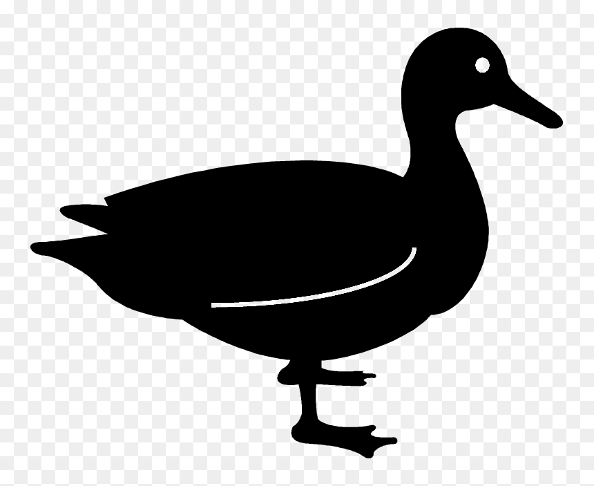 Free Download Duck Silhouette Clipart Duck Goose True - Transparent Duck Silhouette, HD Png Download - duck silhouette png