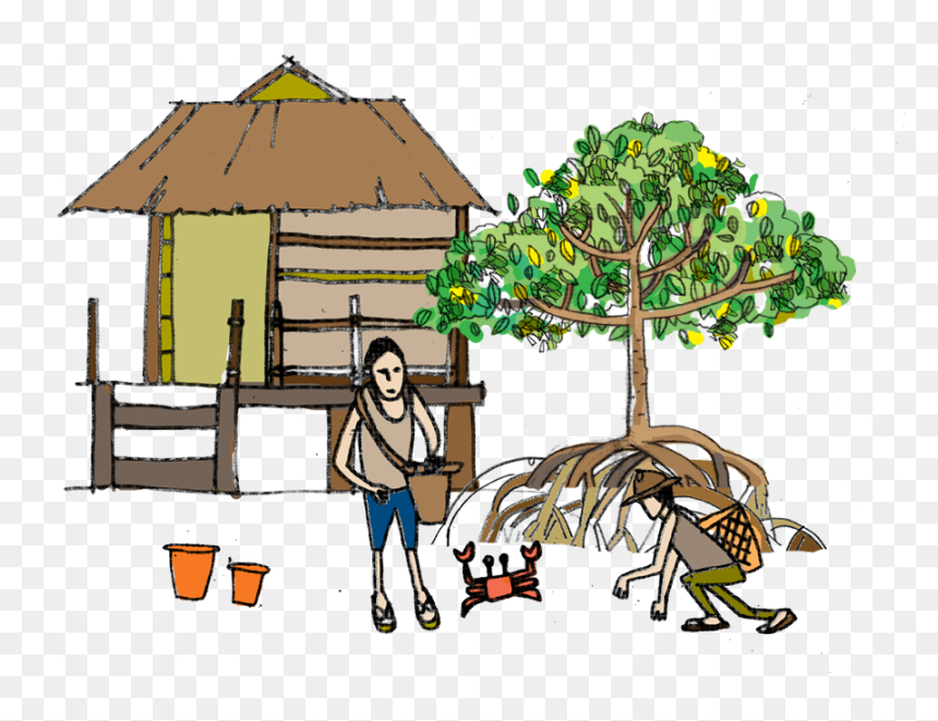 Transparent Mangrove Png - Mangrove, Png Download - mangrove png