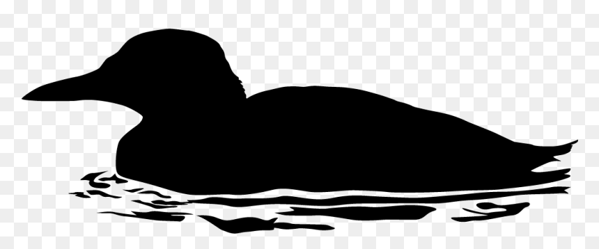 Dont Feed The Ducks Clipart Png Black And White Image - Guillemot Silhouette, Transparent Png - duck silhouette png