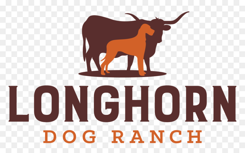 Ldr-primary - Monumen Kebangsaan Simpang Lima Gumul Kediri, HD Png Download - longhorn png