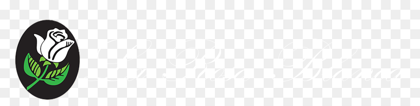 La Rosa Blanca , Png Download - Shirt, Transparent Png - rosa blanca png