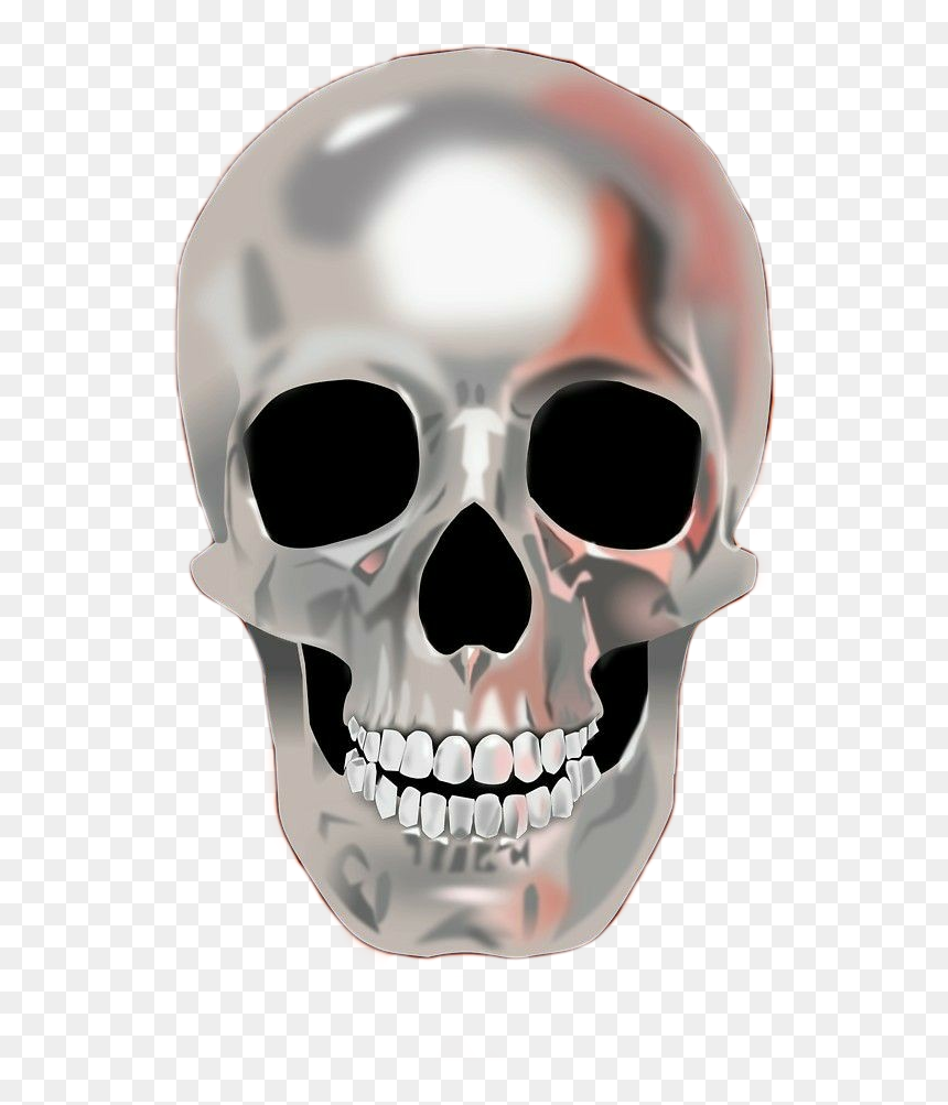 #💀 #☠️ #skull #silver #chrome
#silverskull #skeleton - Skull, HD Png Download - chrome skull png