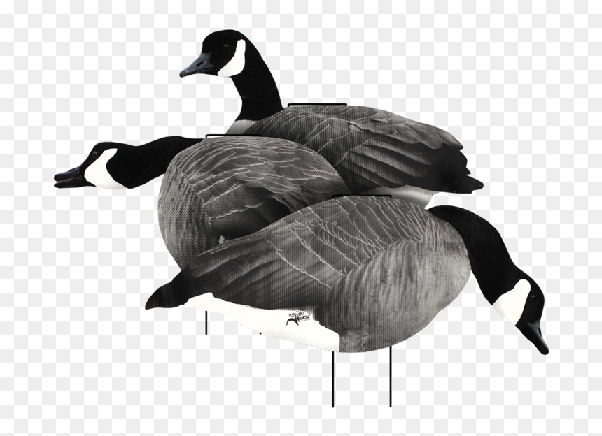 White Rock Decoys, HD Png Download - duck silhouette png