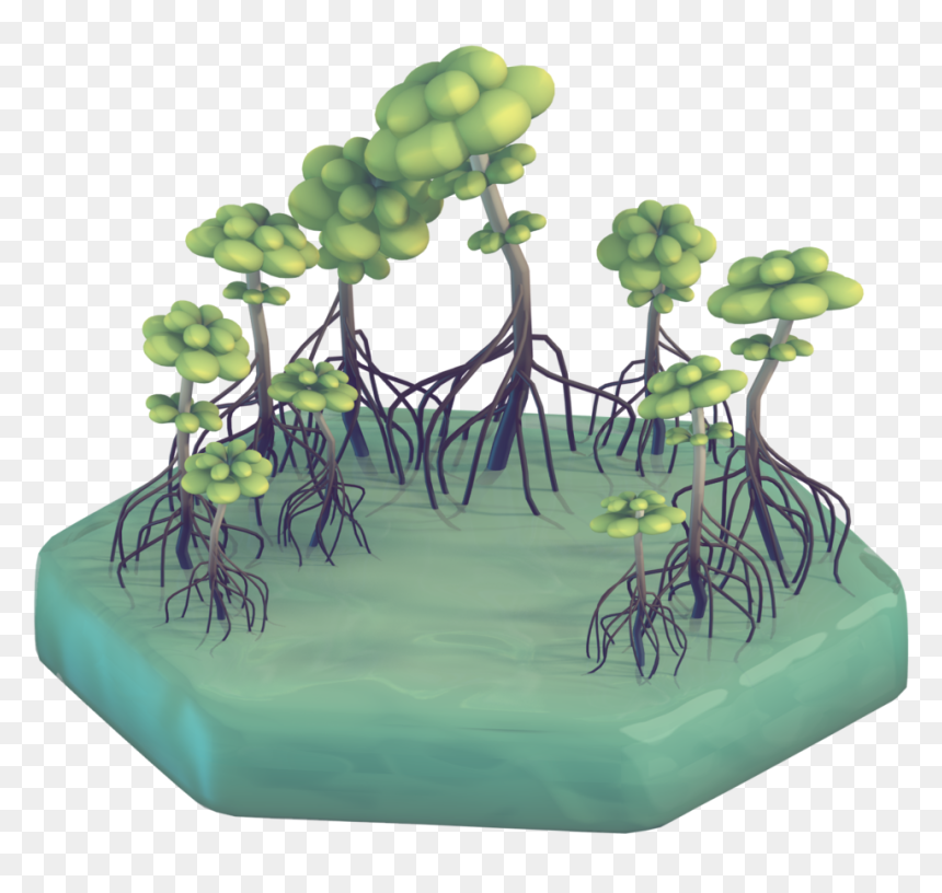 Have A Mangrove Swamp For Day 6 Making The Water Materials - Grass, HD Png Download - mangrove png