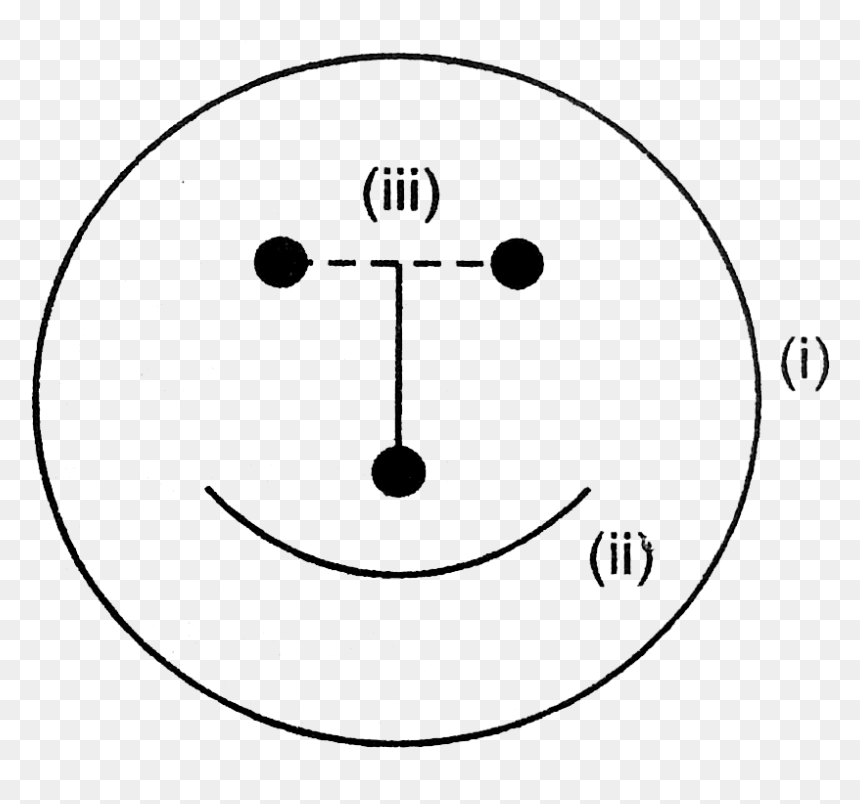 Circle, HD Png Download - thin circle png