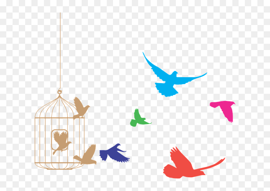 Transparent Pajaros Png - Birds Flying Out Of Cage, Png Download - pajaros png