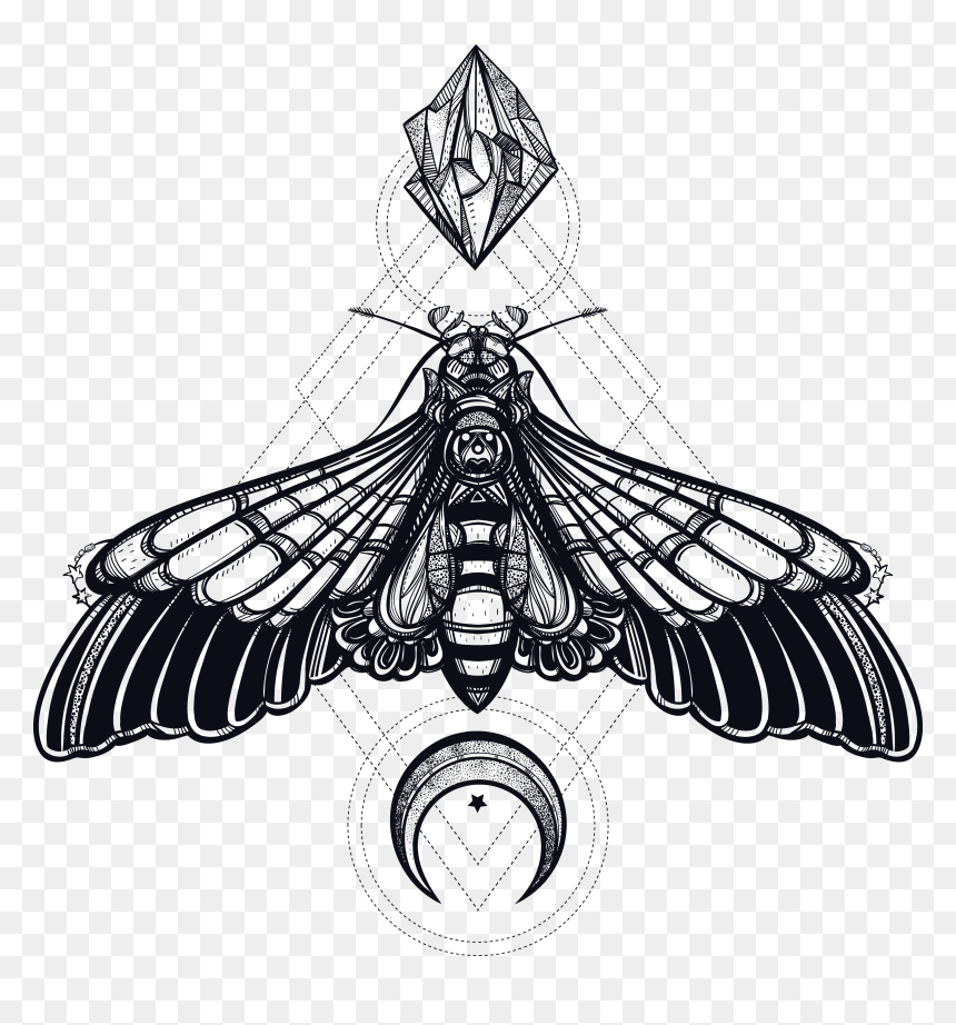 Butterfly Geometry Creative Insect Deaths Head Hawkmoth - Transparent Deaths Head Moth, HD Png Download - butterfly tattoo png