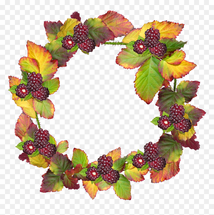 Corona De Hojas De Otoño, HD Png Download - fall frame png