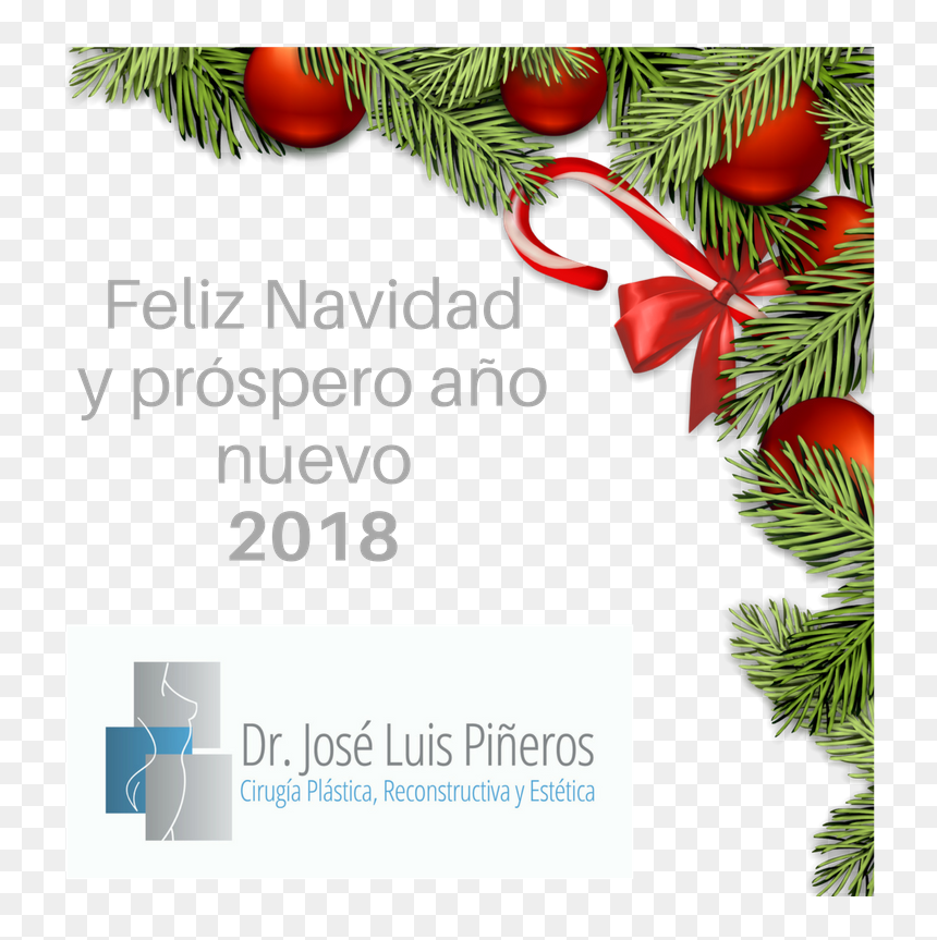 Feliz Navidad Y Próspero Año Nuevo - Treat Yourself With Compassion, HD Png Download - feliz año nuevo 2018 png