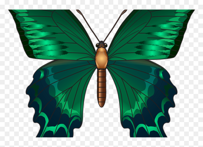 Green Butterfly Png Clip Art Image Butterfly"s Pinterest - Queen Alexandra's Birdwing, Transparent Png - green butterfly png