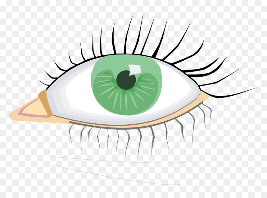 Eye Clip Art, HD Png Download - eye vector png