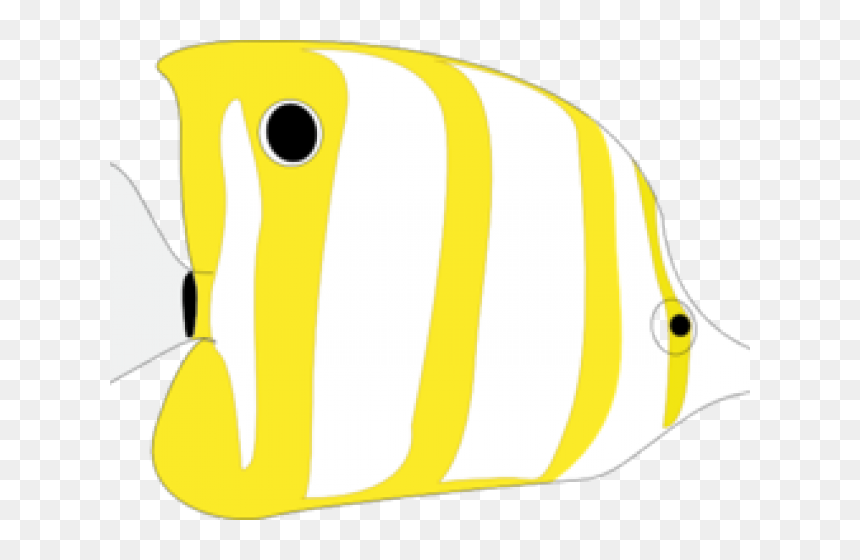 Transparent Marine Biologist Clipart - Tropical Fish, HD Png Download - cute fish png