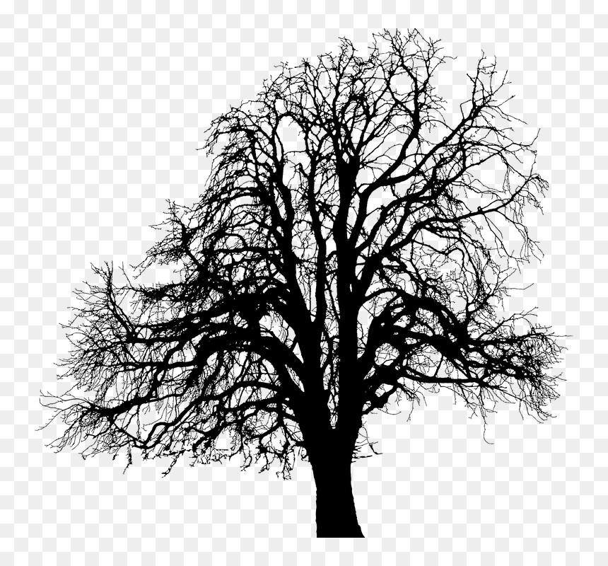 Silhouette, HD Png Download - tree png silhouette