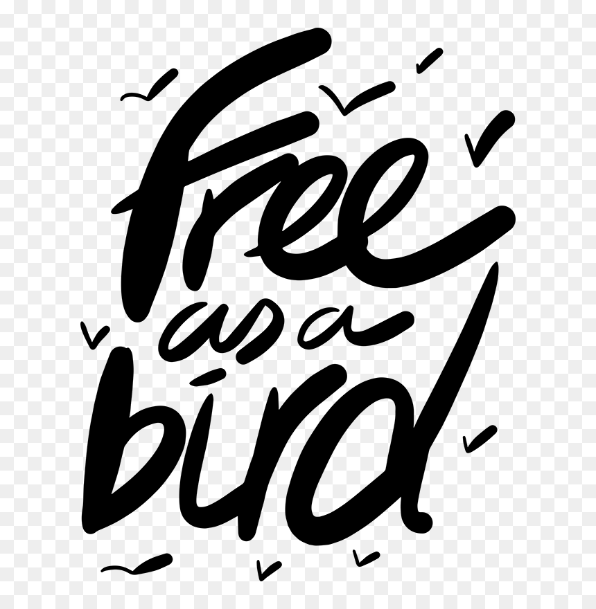 Vinilo Pájaros Volando Free As A Bird , Png Download - Calligraphy, Transparent Png - pajaros png
