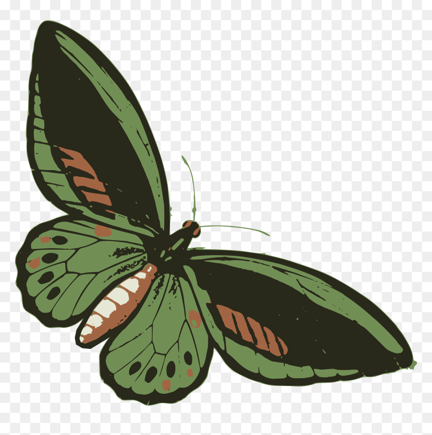 Green Butterfly Clip Arts - Clip Art, HD Png Download - green butterfly png