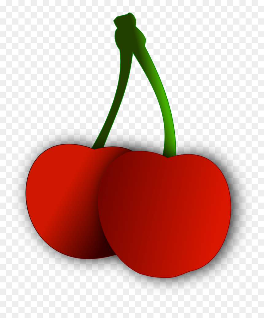 Citrus, HD Png Download - cherry vector png