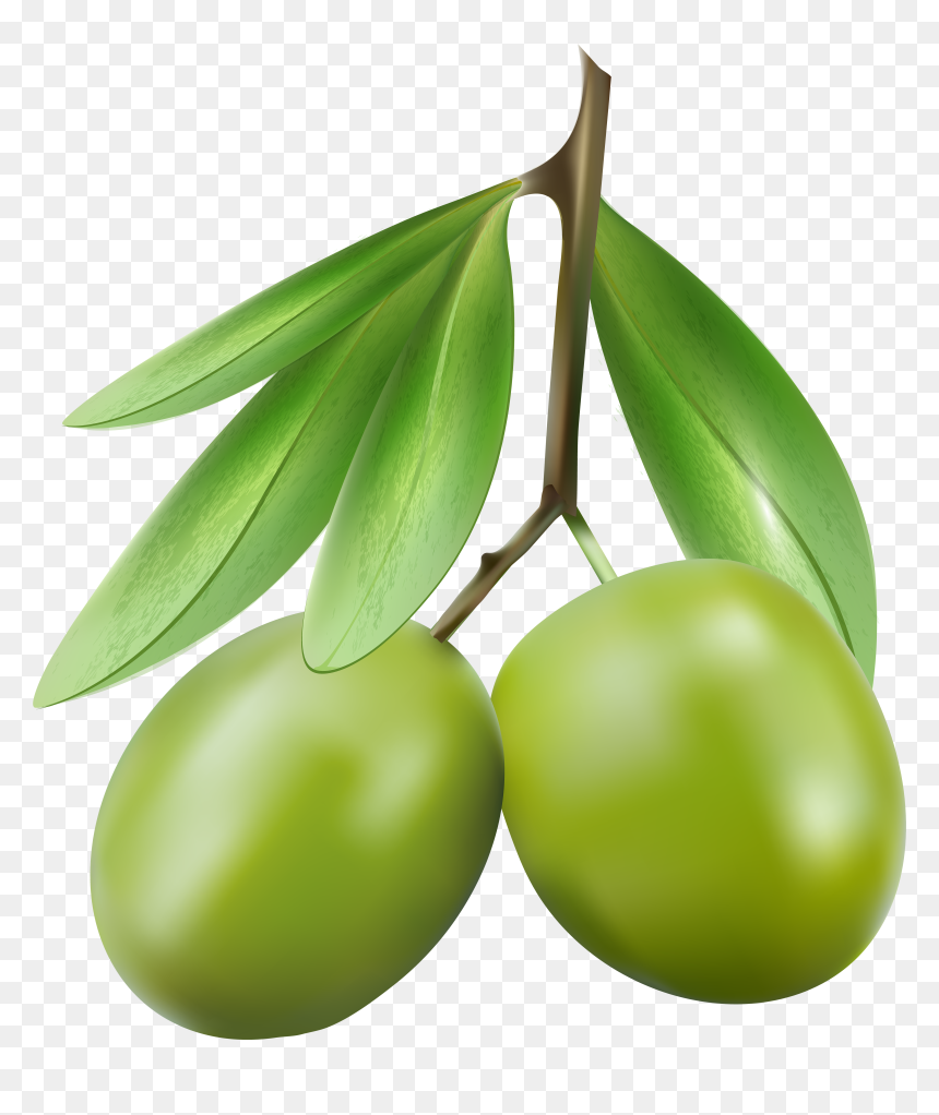Green Olives Png Clipart , Png Download - Clipart Olive, Transparent Png - olives png